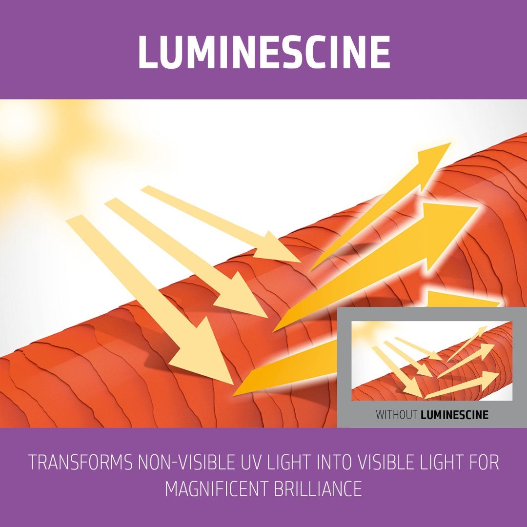 Goldwell Dualsenses Blondes & Highlights Anti-Yellow Shampoo 300ml - Price Attack