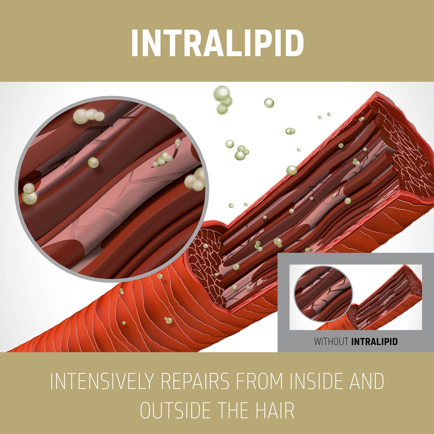 Goldwell Dualsenses Rich Repair Restoring Shampoo 300ml - Price Attack