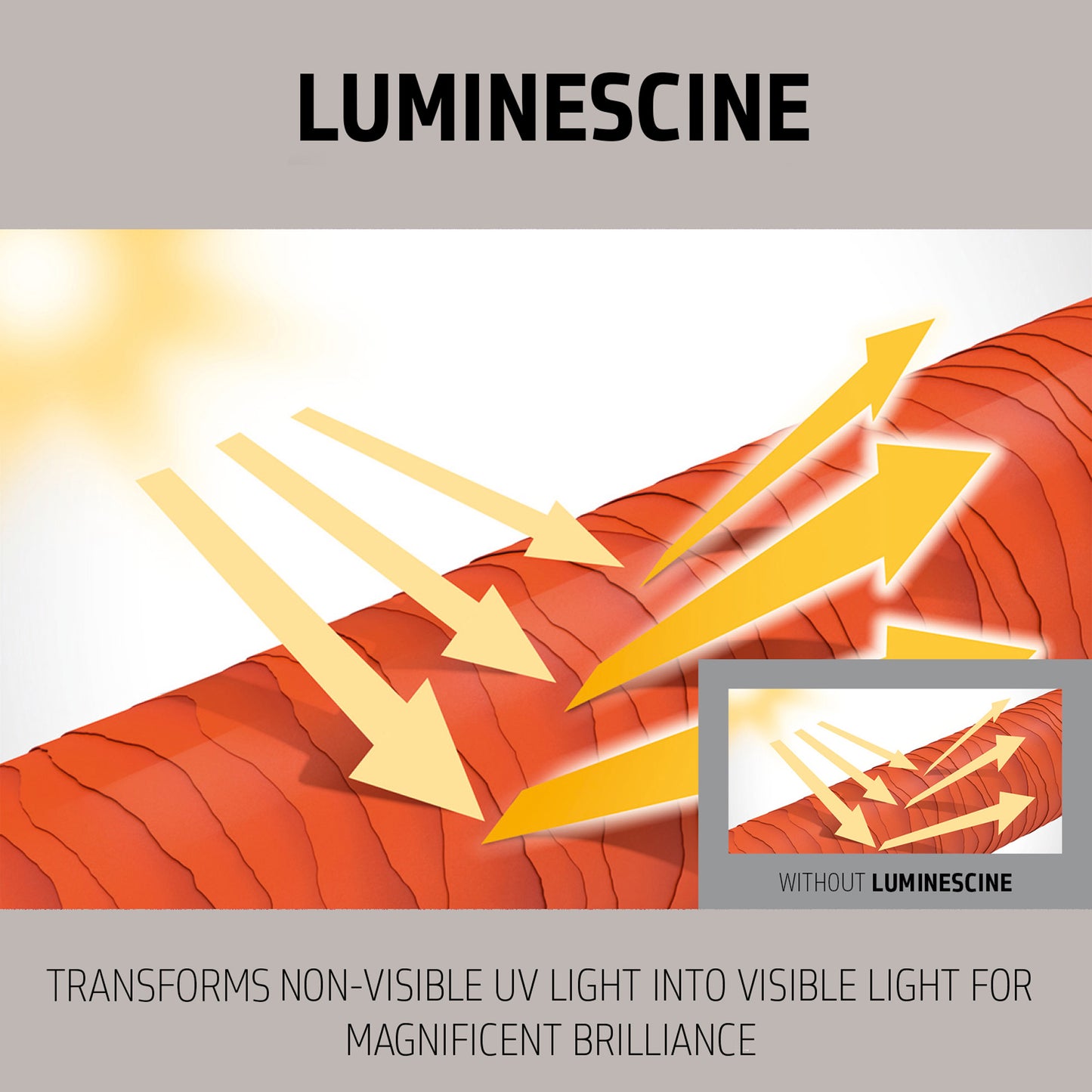 Goldwell Dualsenses Silver Shampoo 300ml - Price Attack