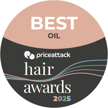 Moroccanoil Original Treatment 100ml