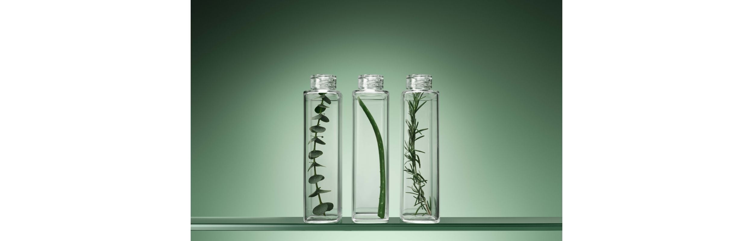 Biolage - Price Attack