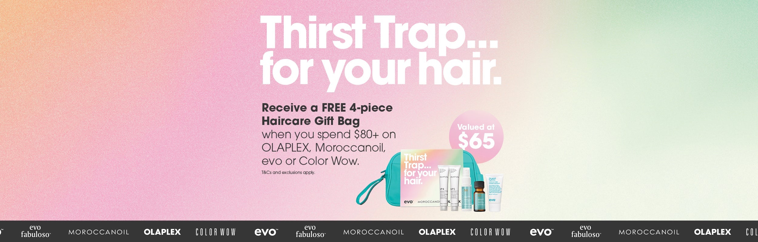 HairCare Brand Offers