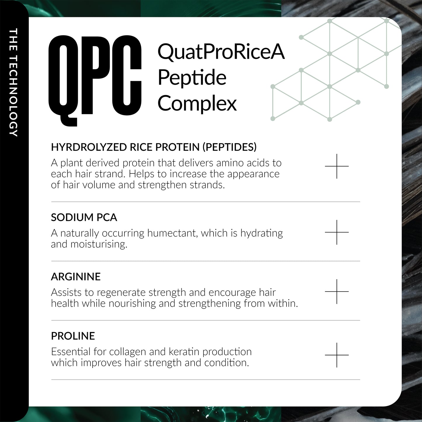 Technical description of QPC QuatProRiceA Peptide Complex with text and graphics on a white background.