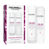 Goldwell Dualsenses Color Brilliance Shampoo & Conditioner 300ml Duo Pack