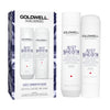 Goldwell Dualsenses Just Smooth Taming Shampoo & Conditioner 300ml Duo Pack