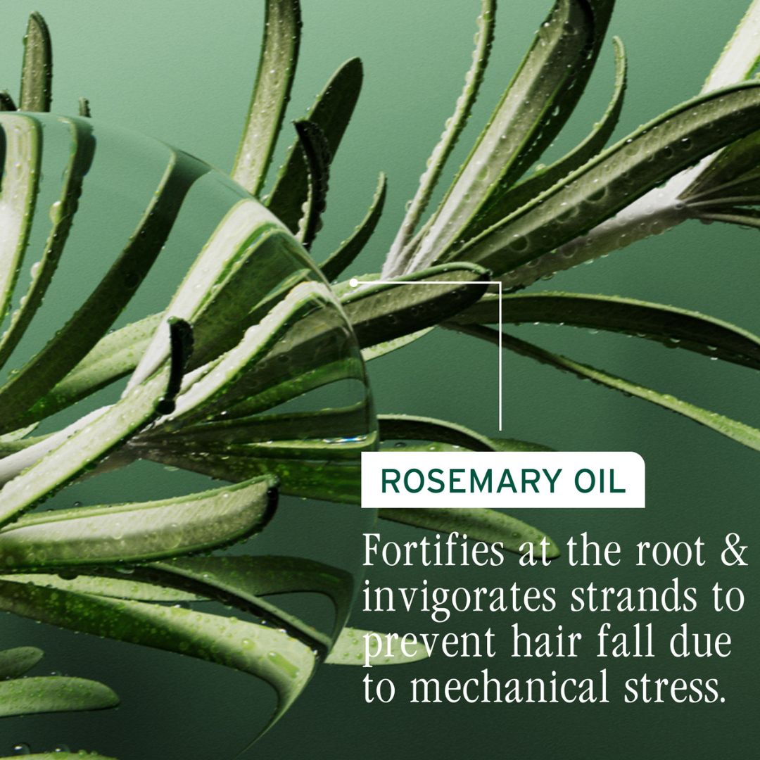 Biolage Full Rescue Densifying Leave-In Spray 250ml