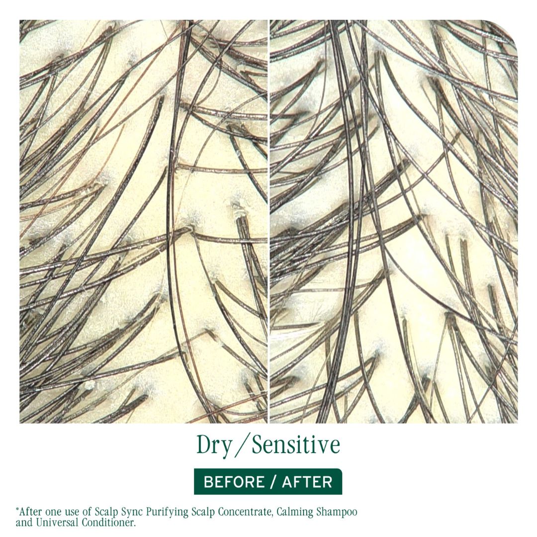 Biolage Scalp Sync Calming Shampoo 400ml