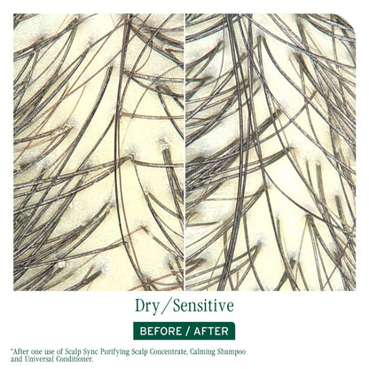 Biolage Scalp Sync Calming Shampoo 400ml