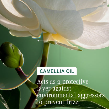 Biolage Smooth Proof Shampoo 400ml