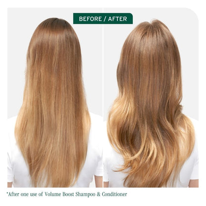 Biolage Volume Boost Shampoo 400ml