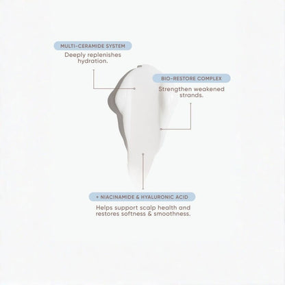 A white hair-shaped graphic on a light gray background with callout labels describing three scalp-support ingredients: multi-ceramide system, bio-restore complex, and niacinamide & hyaluronic acid.