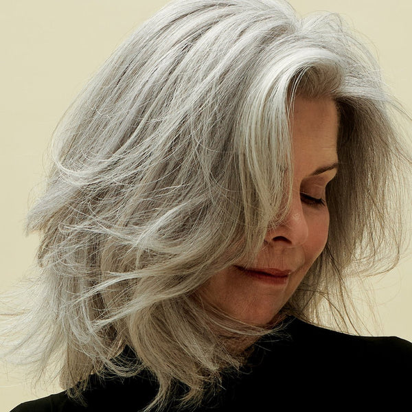 AG Care Sterling Silver Toning Shampoo 1L - Price Attack