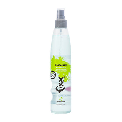 PPS Gloss & Fixx Finishing Spray 250ml - Price Attack