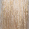 SPS Tint 12.013 Extra Light Beige Blonde 100ml